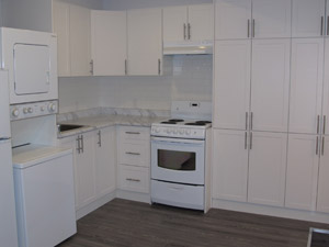 1 Bedroom apartment for rent in TORONTO     