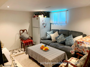 Image ViT 206278