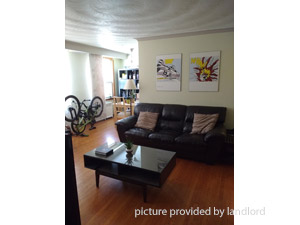 Image ViT 206299