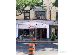 Image ViT 206511