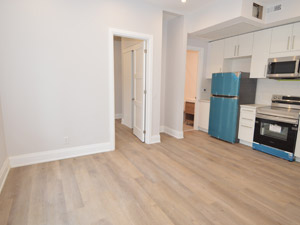 1 Bedroom apartment for rent in TORONTO 