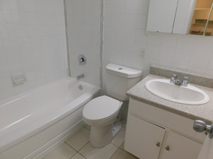 1 Bedroom apartment for rent in North York  