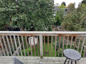 Bachelor apartment for rent in TORONTO
