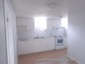 Image ViT 209645
