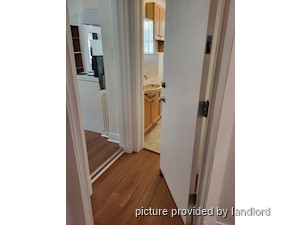 Image ViT 209797