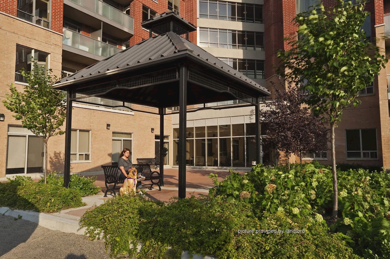 For rent 171 Main Street, Nort Brampton, 1 bdrm Viewit 210370