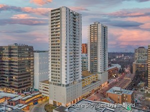 Image ViT 210396