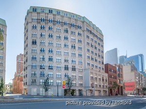 Image ViT 211536
