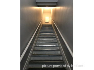 Image ViT 212359