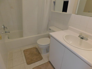 1 Bedroom apartment for rent in TORONTO  