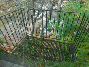 2 Bedroom apartment for rent in TORONTO  