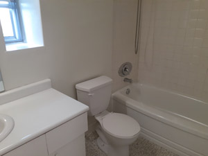 1 Bedroom apartment for rent in TORONTO