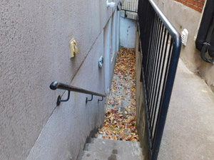 1 Bedroom apartment for rent in TORONTO 