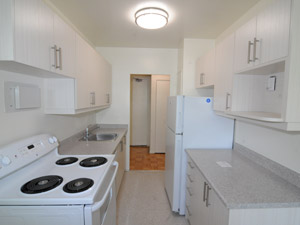 2 Bedroom apartment for rent in NORTH YORK 