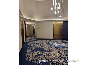 Bachelor apartment for rent in TORONTO