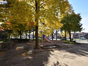 2 Bedroom apartment for rent in Etobicoke