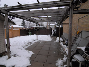 1 Bedroom apartment for rent in NORTH YORK 