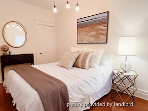 Image ViT 213057