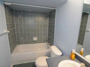 1 Bedroom apartment for rent in NORTH YORK 