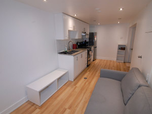 1 Bedroom apartment for rent in TORONTO 