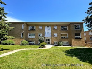 Image ViT 213312
