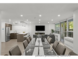 Bachelor apartment for rent in NORTH YORK