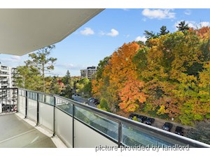 Bachelor apartment for rent in NORTH YORK