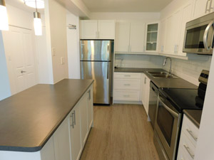 Bachelor apartment for rent in NORTH YORK