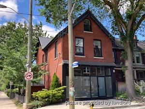 Image ViT 213828
