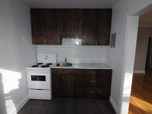 1 Bedroom apartment for rent in TORONTO    