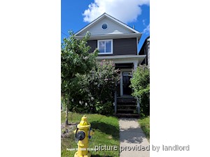 Image ViT 214064