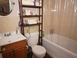 Bachelor apartment for rent in TORONTO