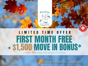 Rental Low-rise 53 Mcmurchy Ave N, Brampton, ON