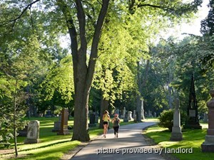 1 Bedroom apartment for rent in TORONTO