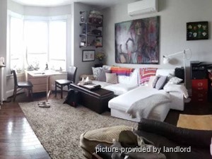 Image ViT 215023