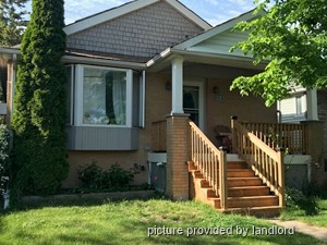 Image ViT 215044