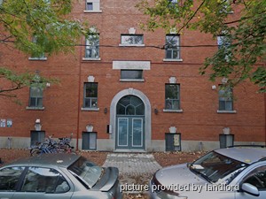 Image ViT 215457