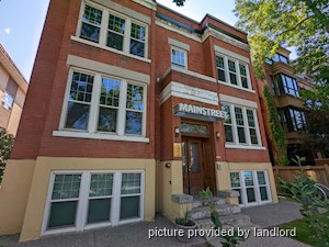 Image ViT 216562