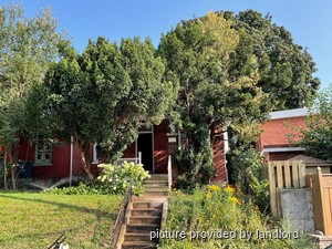 Image ViT 216787