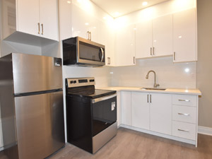 1 Bedroom apartment for rent in TORONTO 