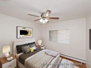 Image ViT 217503