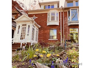 Image ViT 217735