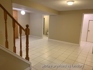 Image ViT 217848