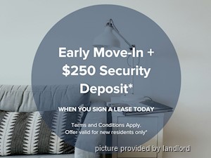 Image ViT 218515