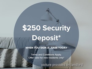 Image ViT 218530
