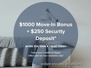 Image ViT 218542