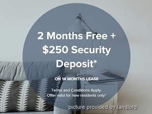 Image ViT 218546