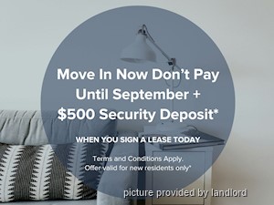 Image ViT 218549
