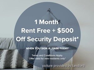 Image ViT 218551