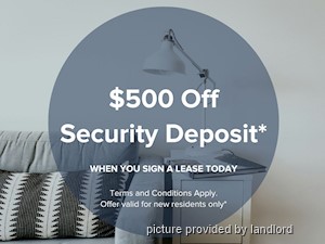 Image ViT 218551